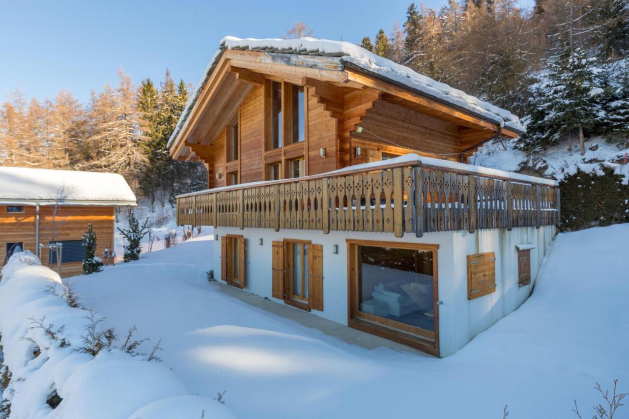 Chalet Asphodel Nendaz Exteriör bild
